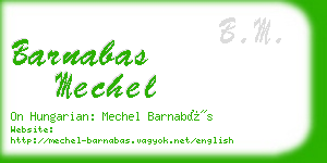 barnabas mechel business card